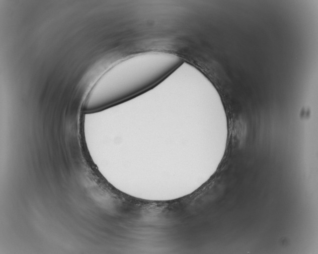 X0000112840148200910021115