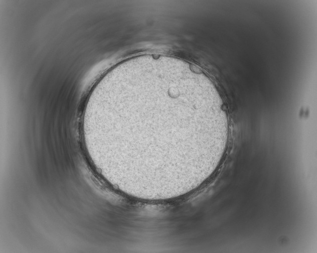 X0000112840149200910021115