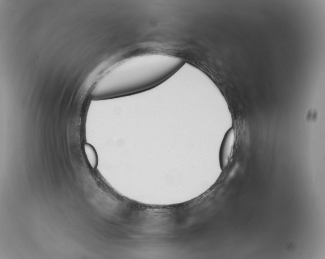 X0000112840150200910021115