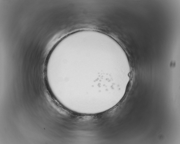 X0000112840151200910021115