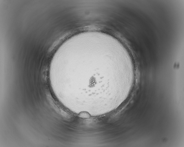 X0000112840153200910021115