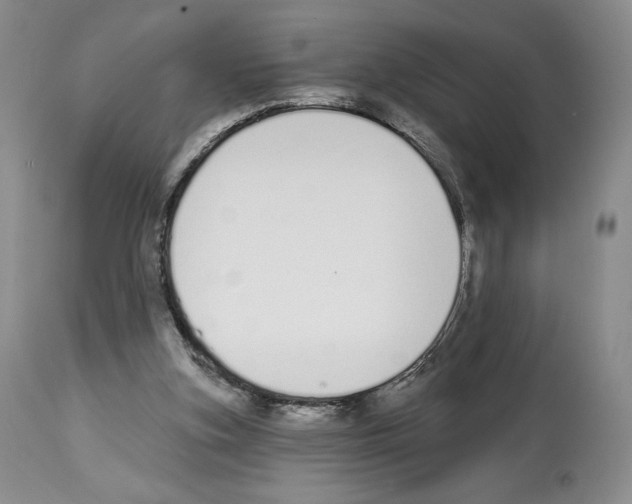 X0000112840155200910021115