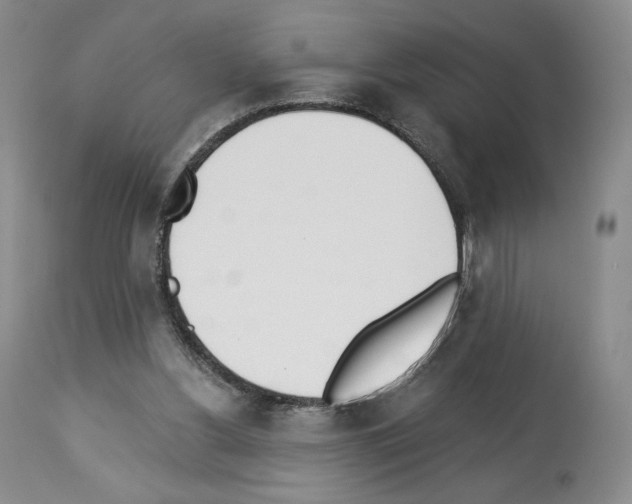 X0000112840156200910021115