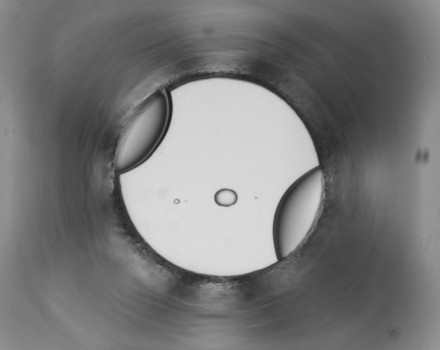 X0000112840160200910021115