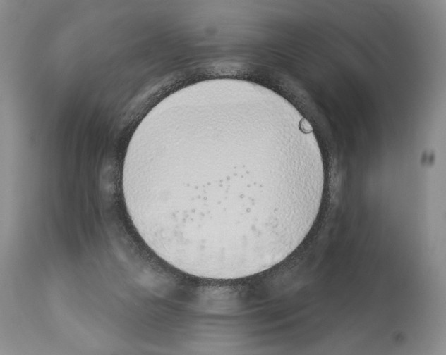 X0000112840161200910021115