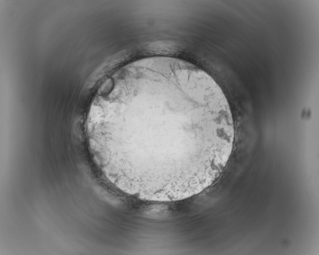 X0000112840162200910021115