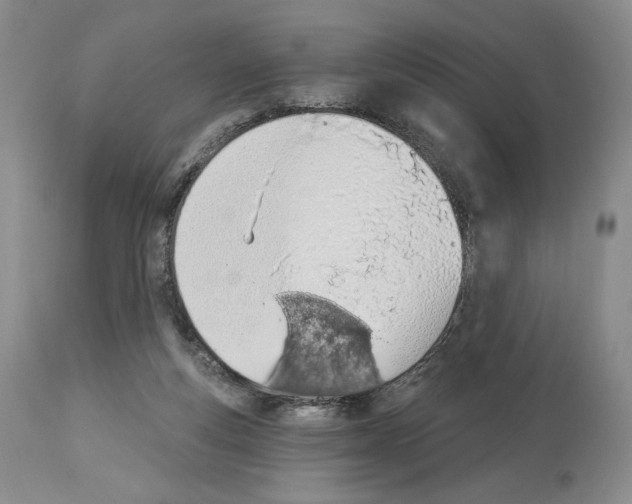 X0000112840163200910021115