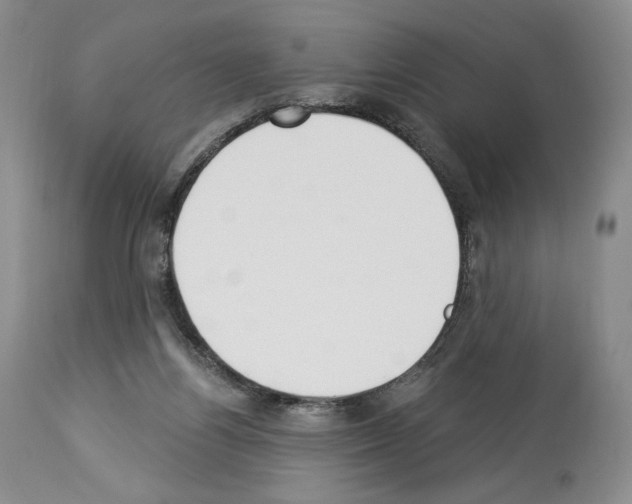 X0000112840164200910021115