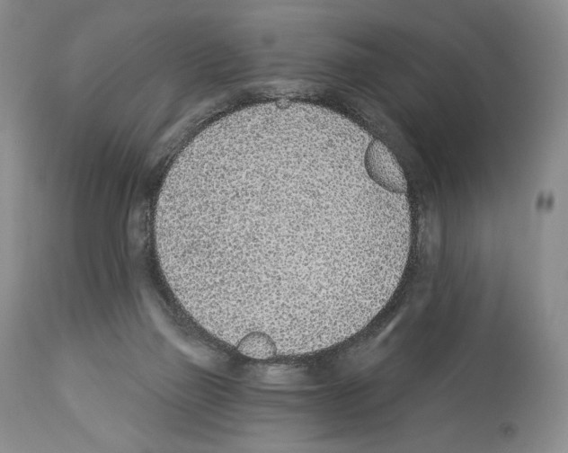 X0000112840165200910021115