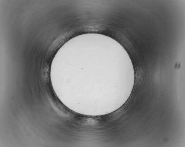 X0000112840166200910021115