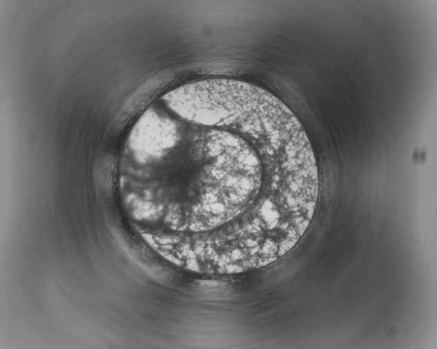 X0000112840167200910021115