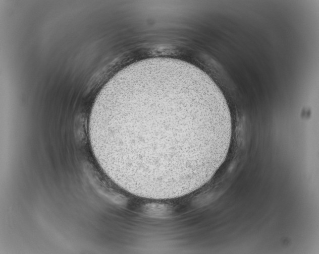 X0000112840169200910021116