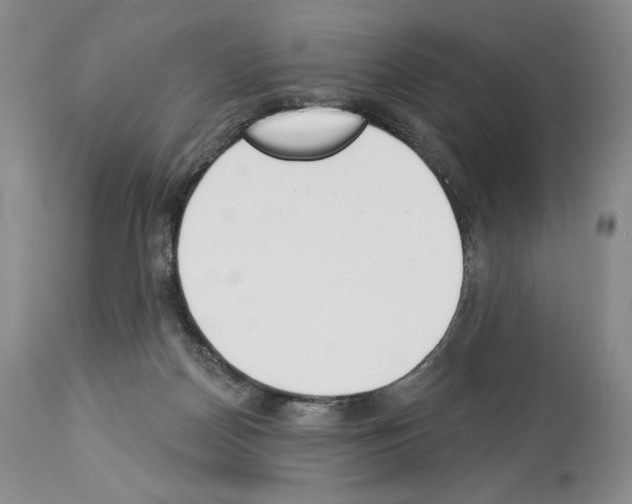 X0000112840170200910021116