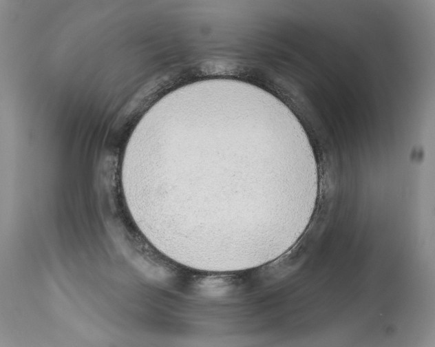 X0000112840171200910021116