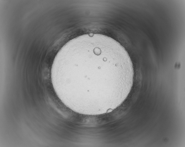 X0000112840173200910021116