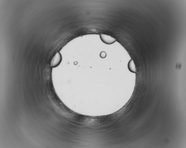 X0000112840174200910021116