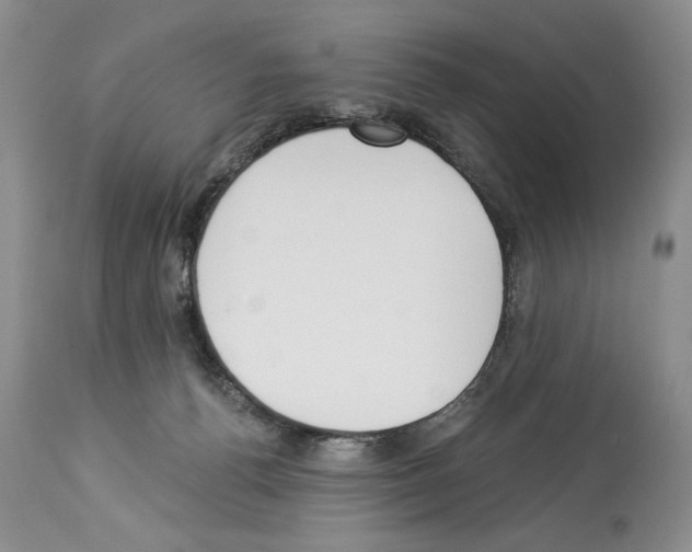 X0000112840176200910021116