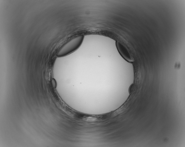 X0000112840180200910021116