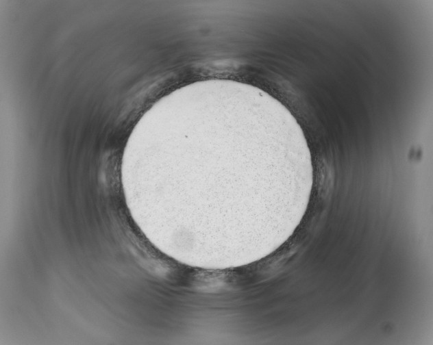 X0000112840181200910021116