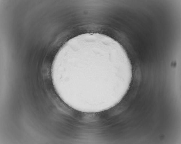 X0000112840185200910021116