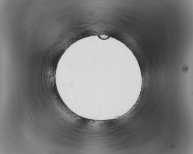 X0000112840186200910021116