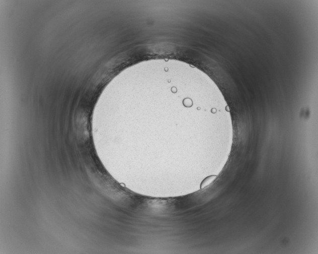 X0000112840187200910021116