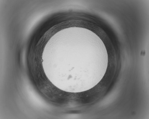 X0000112840189200910021116