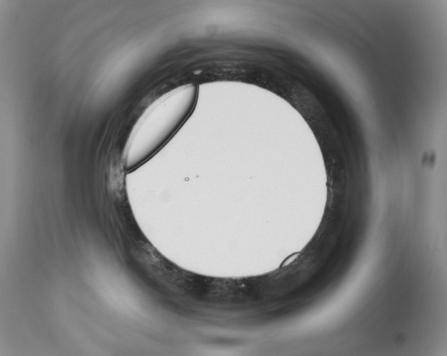 X0000112840190200910021116