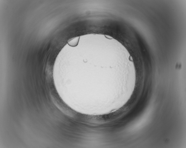 X0000112840191200910021116