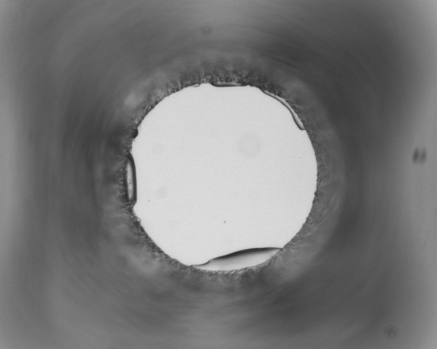 X0000112840192200910021116