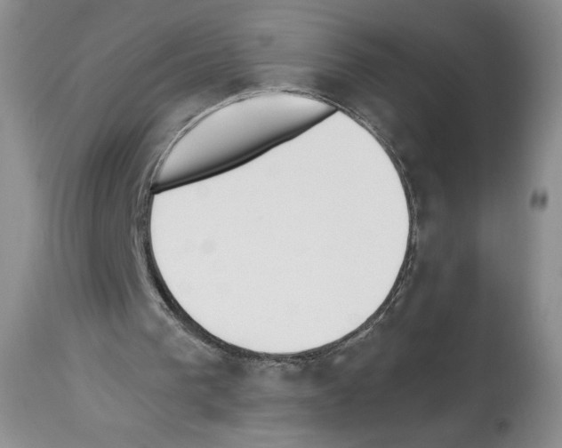 X0000112840193200910021115