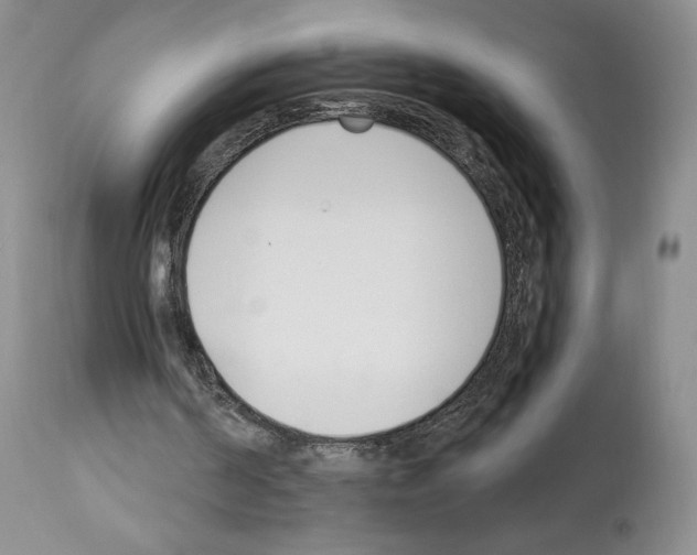 X0000112840194200910021115