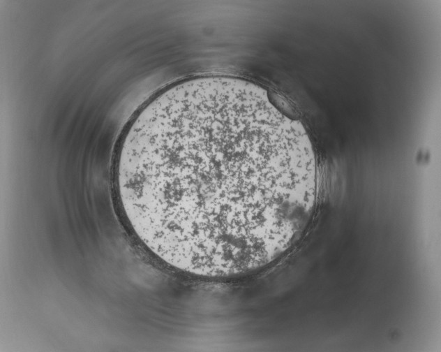 X0000112840195200910021115