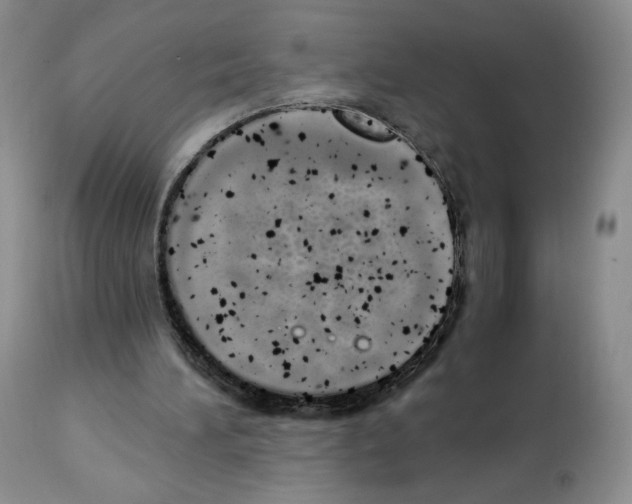 X0000112840196200910021115