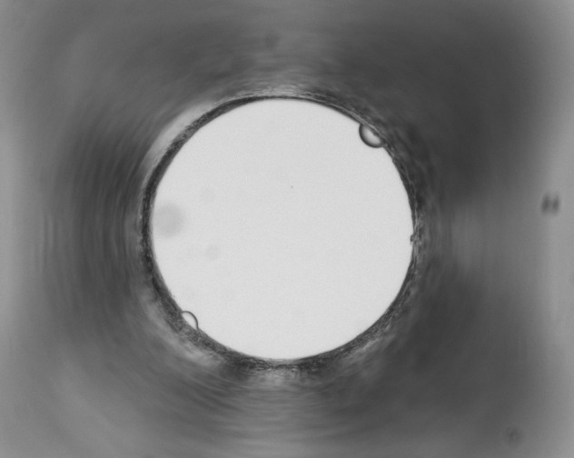 X0000112840200200910021115