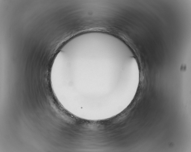 X0000112840201200910021115