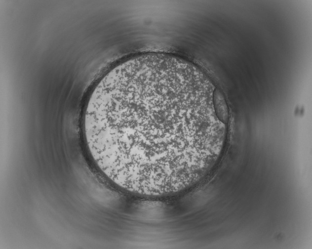 X0000112840203200910021115