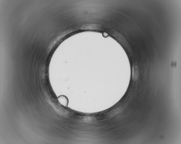 X0000112840204200910021115