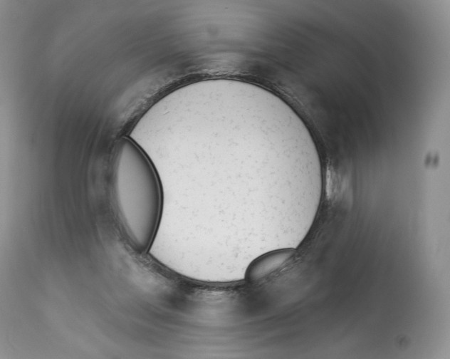 X0000112840205200910021115