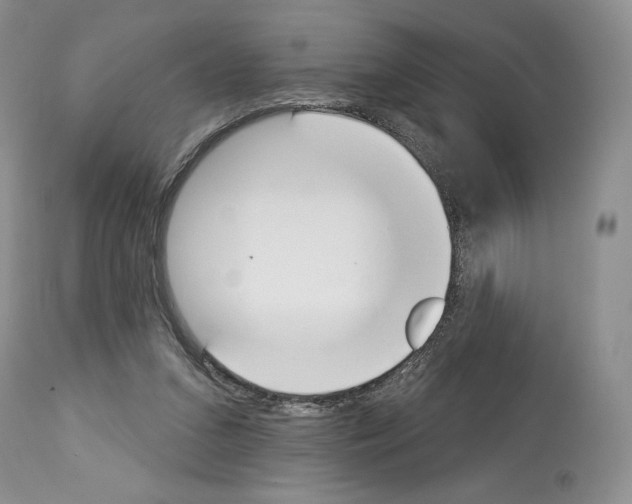 X0000112840207200910021115