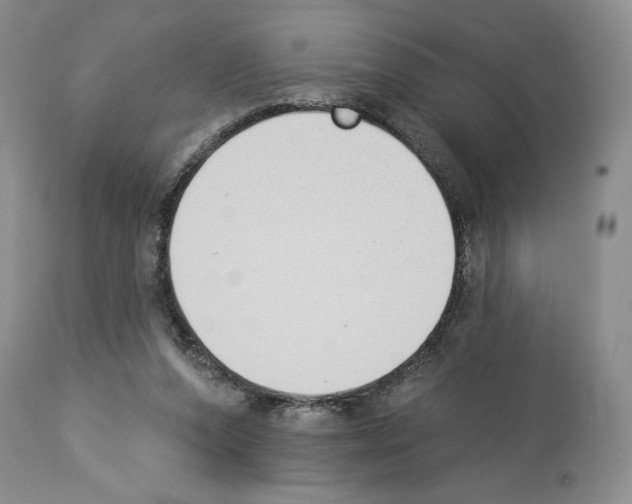 X0000112840208200910021115