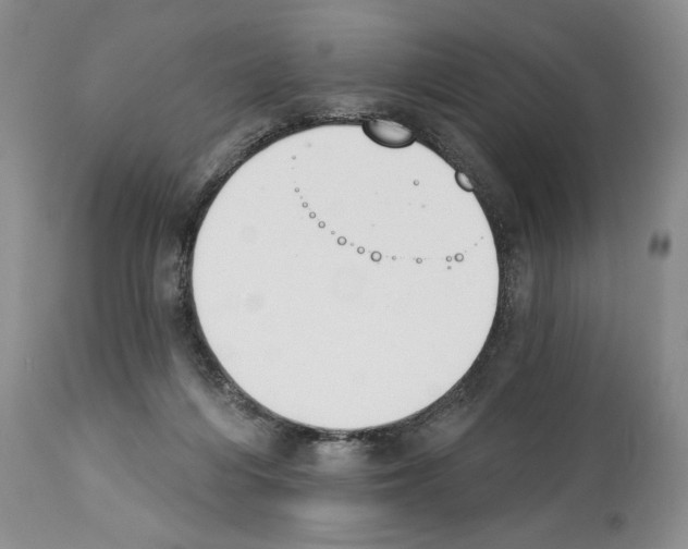 X0000112840216200910021115