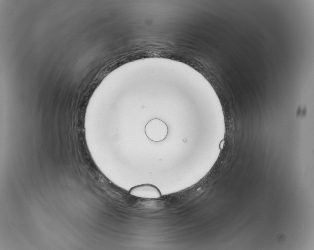 X0000112840221200910021115