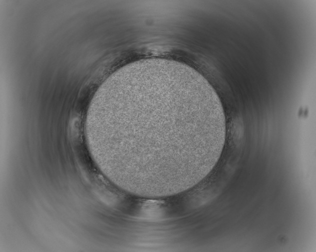 X0000112840222200910021115