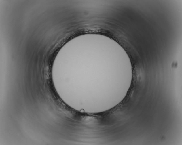 X0000112840224200910021115