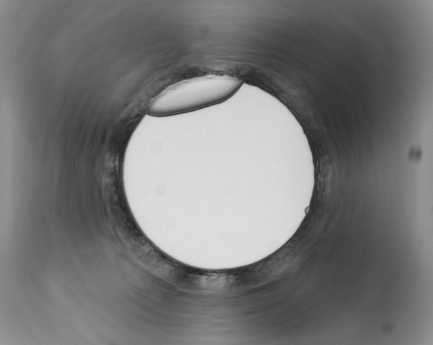 X0000112840225200910021115