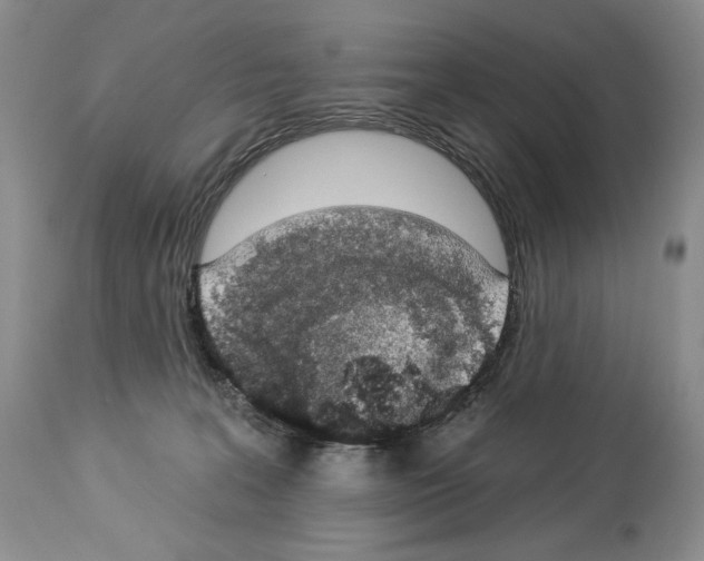 X0000112840227200910021115