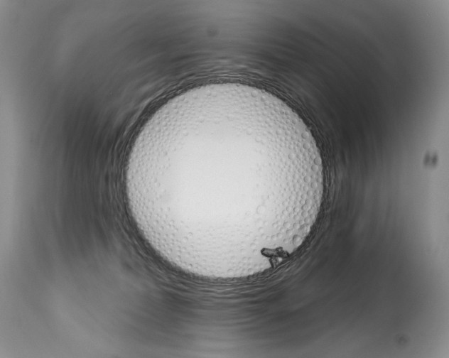 X0000112840228200910021115