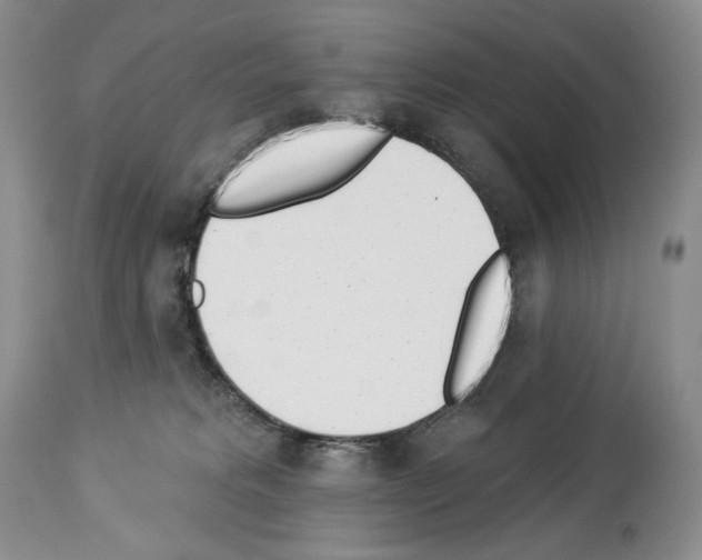 X0000112840229200910021115