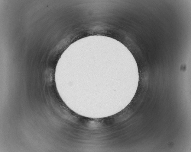 X0000112840232200910021115